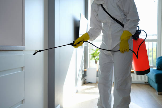 Home Mold Removal in Huntsville, MO