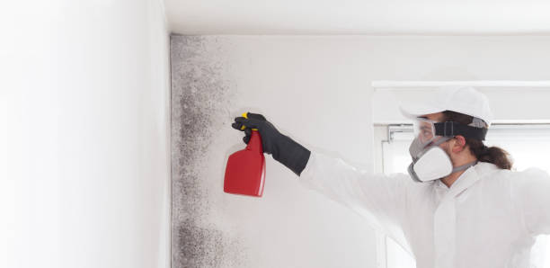 Best Office Mold Removal Services  in Huntsville, MO
