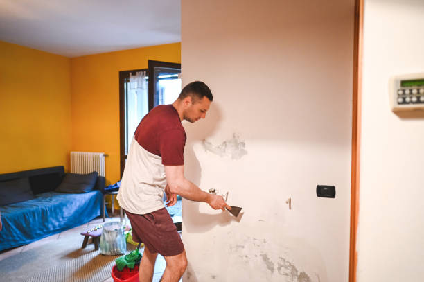 Best Attic Mold Removal  in Huntsville, MO