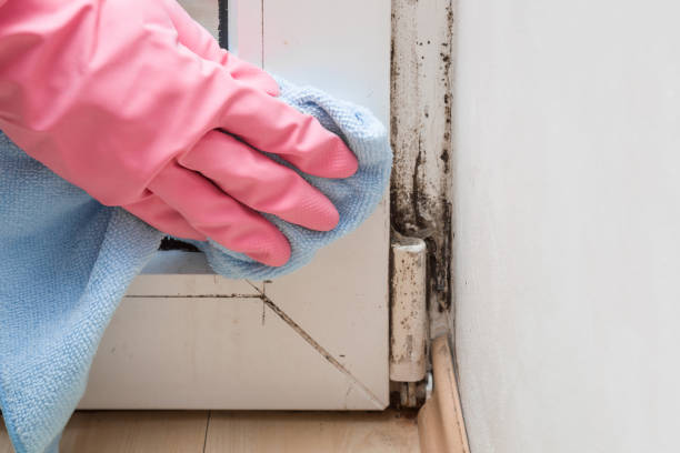 Best Mold Removal Process  in Huntsville, MO